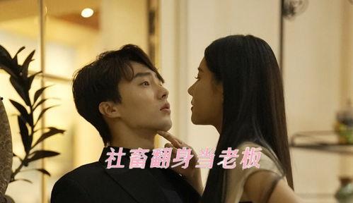 shelaoban在线视频观看,在线视频观看背后的精彩故事